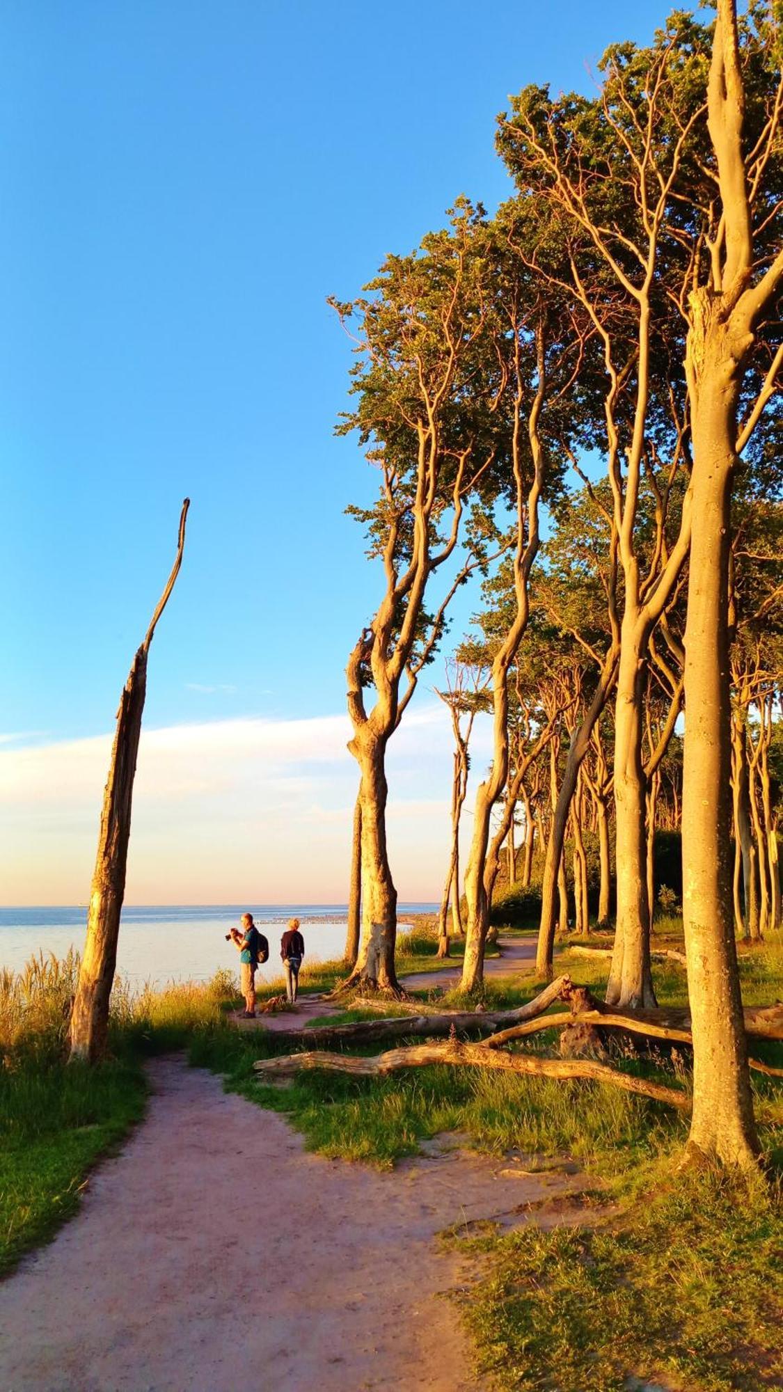 Ostsee Hotel-Pension An Der Lindenallee 바트 도베란 외부 사진