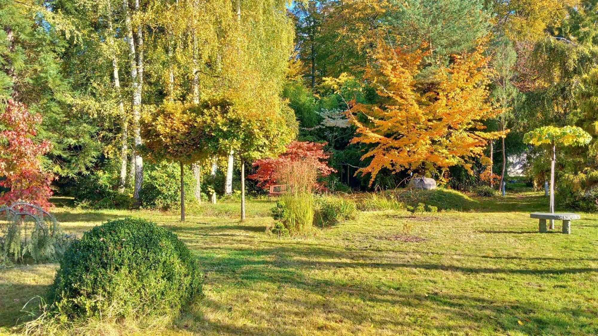 Ostsee Hotel-Pension An Der Lindenallee 바트 도베란 외부 사진