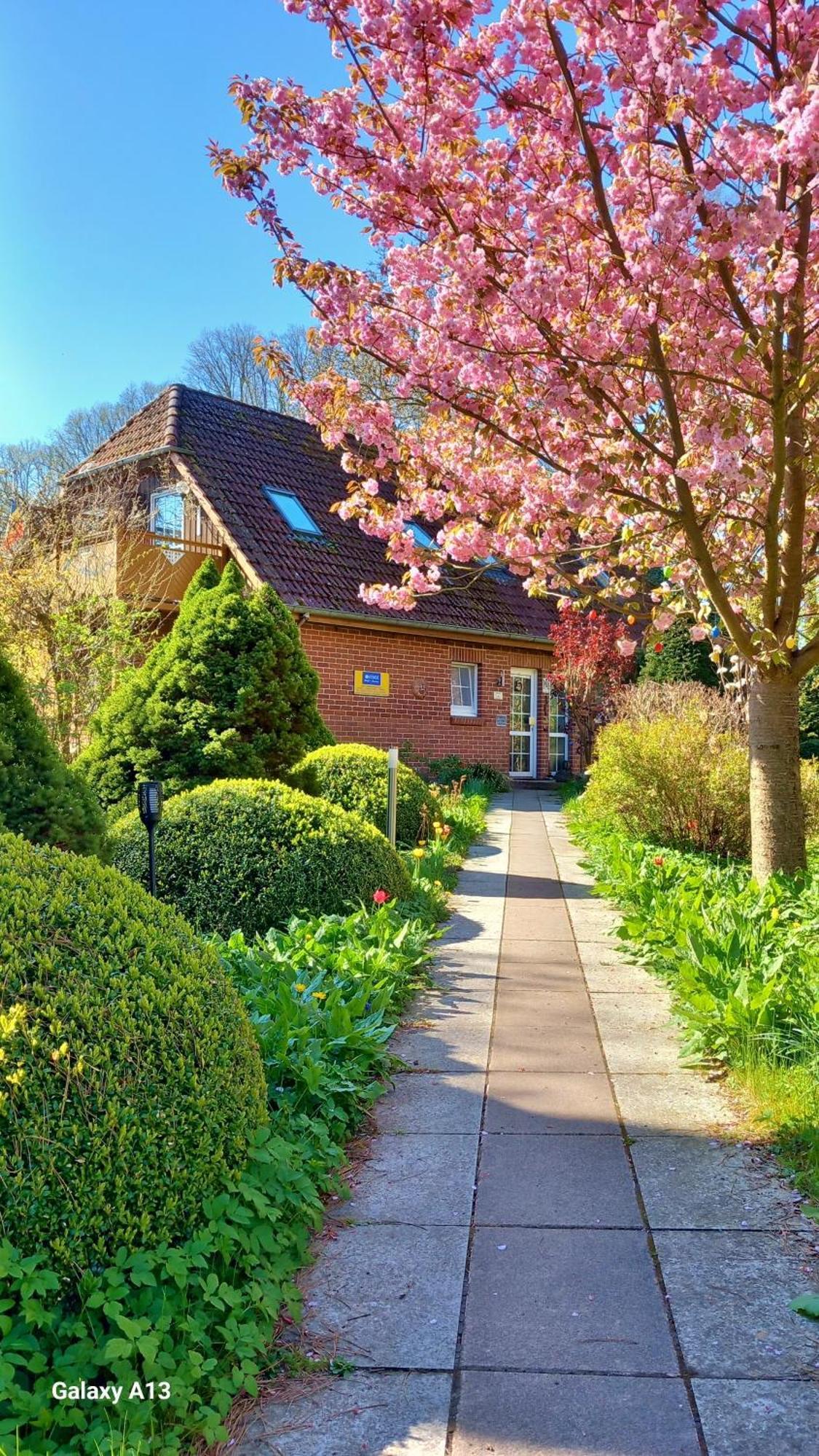 Ostsee Hotel-Pension An Der Lindenallee 바트 도베란 외부 사진
